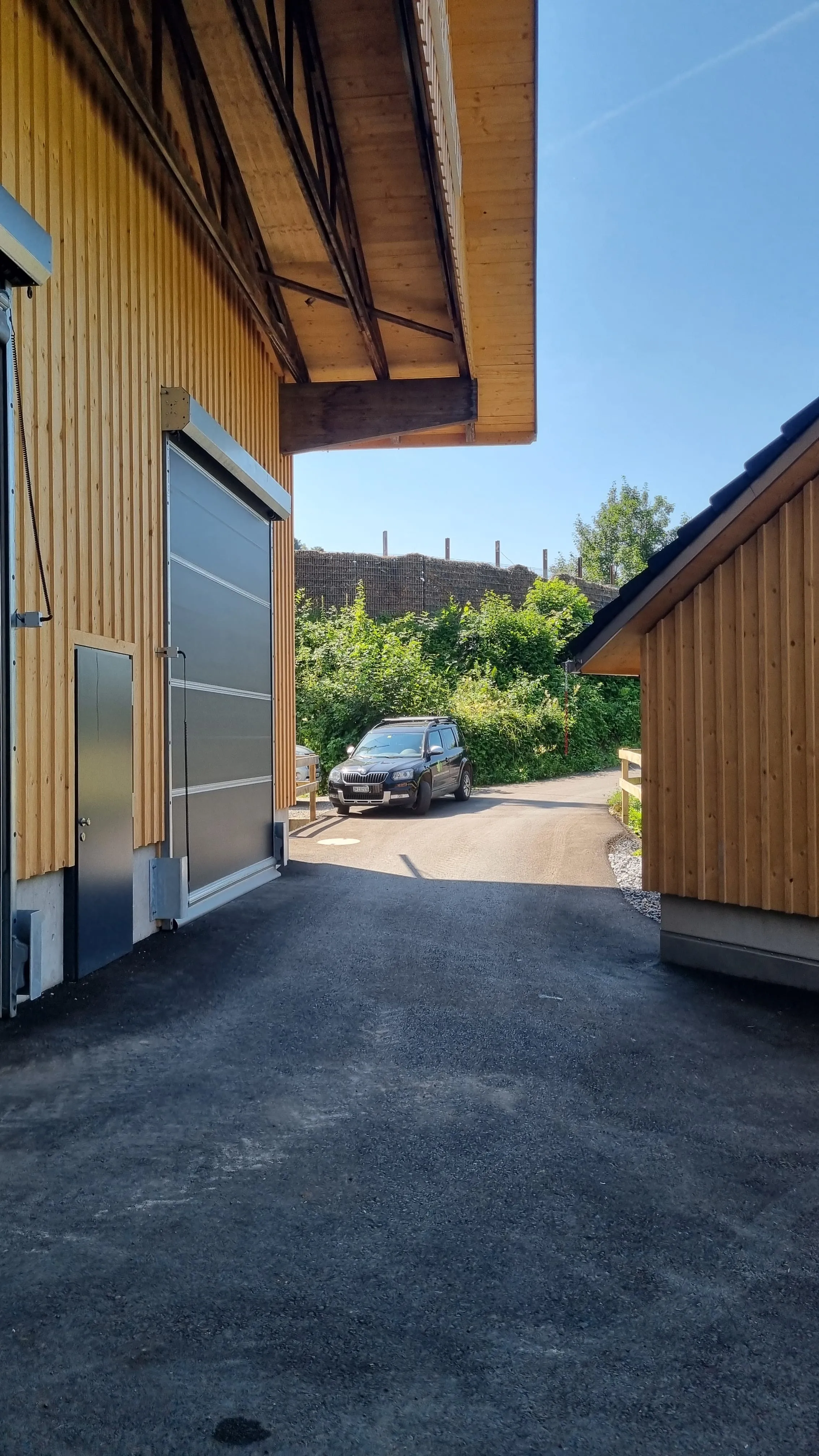 Forstrevier Rüti, Wald, Dürnten, Bild 2